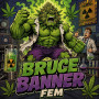 BRUCE BANNER FEM — ФЕМІНІЗОВАНИЙ СОРТ З ВМІСТОМ THC ДО 29%