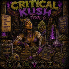 Critical Kush Fem