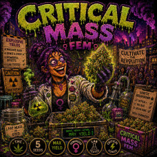 Critical Mass Fem