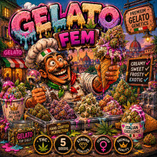 Gelato Fem